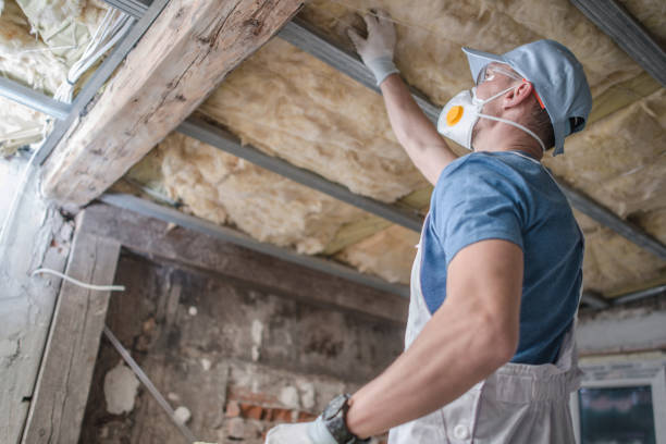 Best Insulation for New Construction  in Trent Woods, NC
